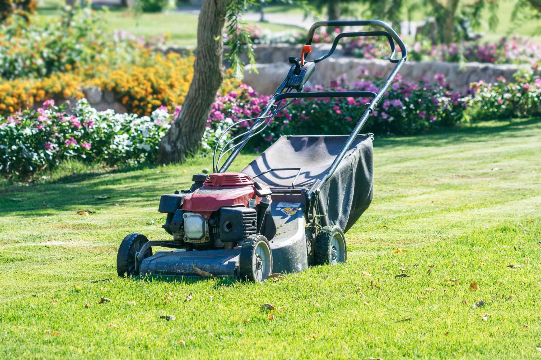 Best Large Walk Behind Mower (With Pros and Cons) Lawn Mower Lab