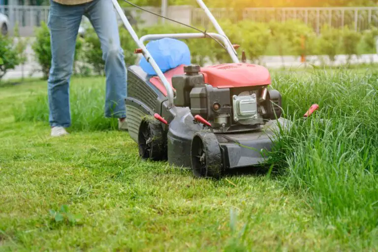 Best Self Propelled Lawn Mower for Women