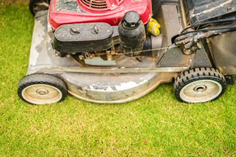How to Drain Gas from Riding Lawn Mower? (with video)