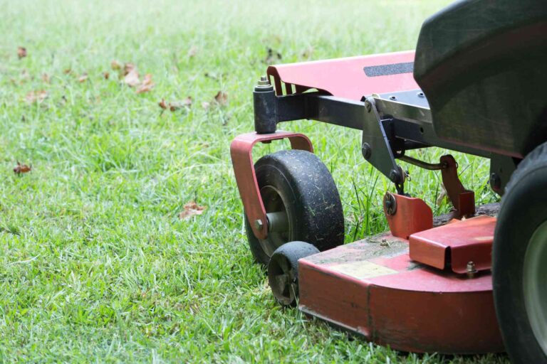 Affordable Tires for zero turn mower? Here are the top 5 picks!