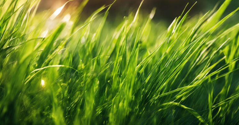 Cool Season Grasses: Grasses for the Northern Hemisphere